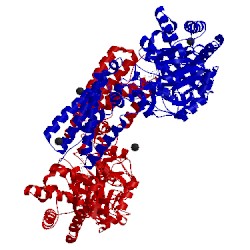 Image of CATH 2j62