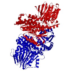 Image of CATH 2j6h