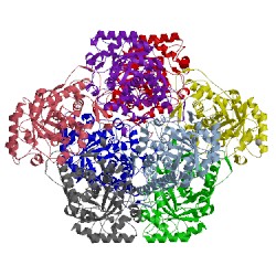 Image of CATH 2j6x