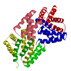 Image of CATH 2j6y