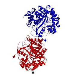 Image of CATH 2j78