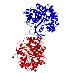 Image of CATH 2j7c