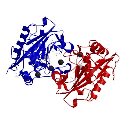 Image of CATH 2j83
