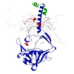 Image of CATH 2j8c