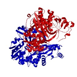 Image of CATH 2j9g