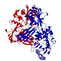 Image of CATH 2j9p