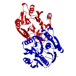 Image of CATH 2jaj