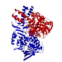 Image of CATH 2jb3