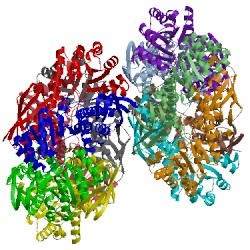 Image of CATH 2jbm