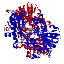 Image of CATH 2jbv