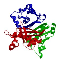 Image of CATH 2jca