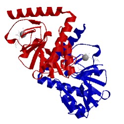 Image of CATH 2jcb