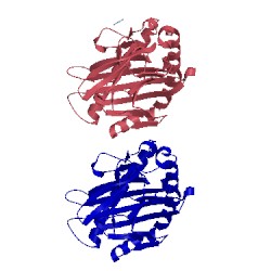 Image of CATH 2jcc