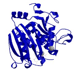 Image of CATH 2jck
