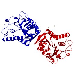 Image of CATH 2jcl