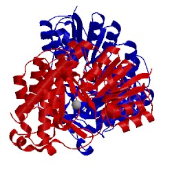 Image of CATH 2jd2