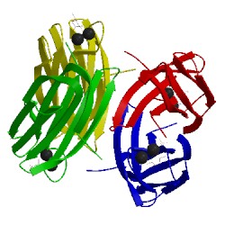 Image of CATH 2jdn