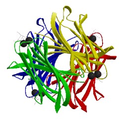 Image of CATH 2jdy
