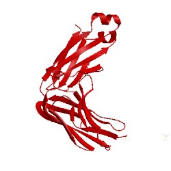 Image of CATH 2jel