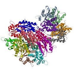Image of CATH 2jfb