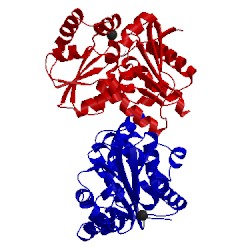 Image of CATH 2jfp