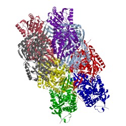 Image of CATH 2jg7