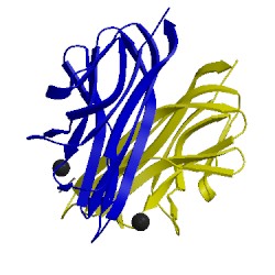 Image of CATH 2jg9