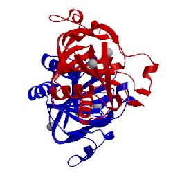 Image of CATH 2jig