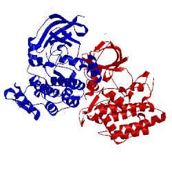 Image of CATH 2jii