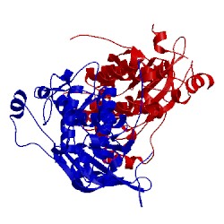 Image of CATH 2jit