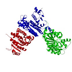 Image of CATH 2jj4