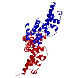Image of CATH 2jj7