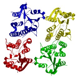 Image of CATH 2jj8