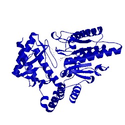Image of CATH 2jjh