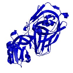 Image of CATH 2jji