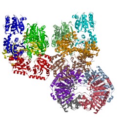 Image of CATH 2jjm