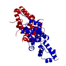 Image of CATH 2jk3