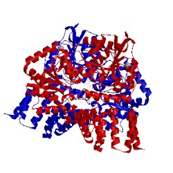 Image of CATH 2jlb