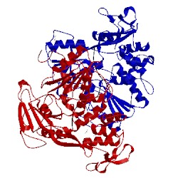 Image of CATH 2jlu