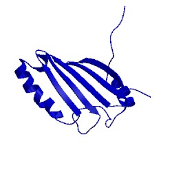 Image of CATH 2joe
