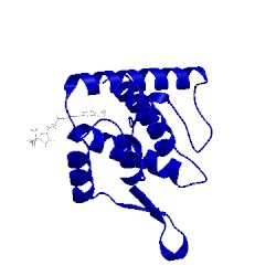 Image of CATH 2jpr