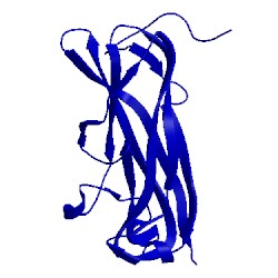 Image of CATH 2jty