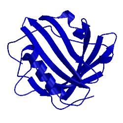 Image of CATH 2k23