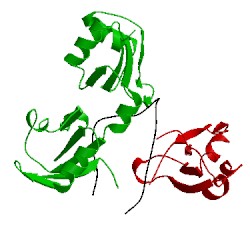 Image of CATH 2km8