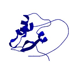 Image of CATH 2kpm
