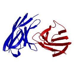 Image of CATH 2kqn