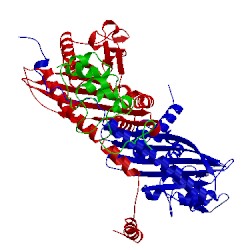 Image of CATH 2kxp