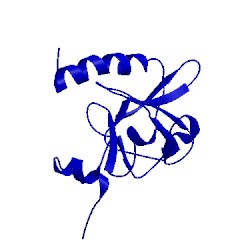 Image of CATH 2kzn