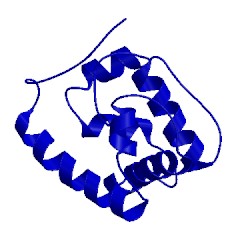 Image of CATH 2l2c