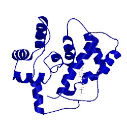 Image of CATH 2l2e